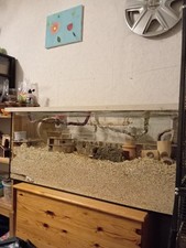 Gehege/Aquarium/Nagarium/Terra