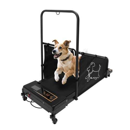 Dog treadmill for - dog, medium