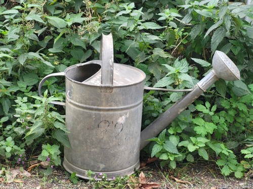 Alte zinkgießkanne gießkanne - zinkgießkanne,