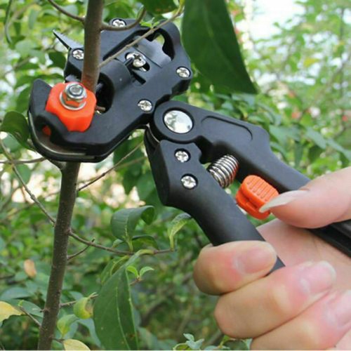 Profi obstbaum - profi,