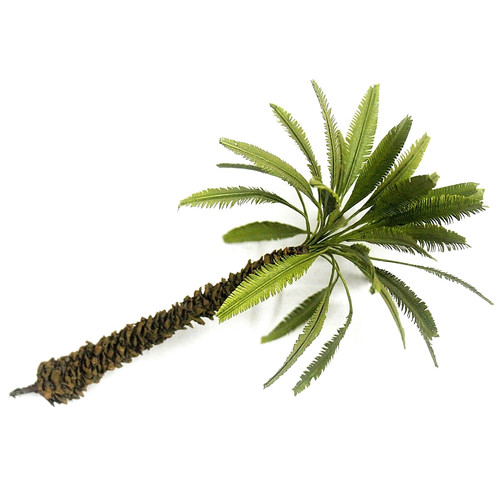 Palme höhe 1 stück - 14,