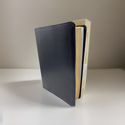 Biblia estudio plenitud - biblia,