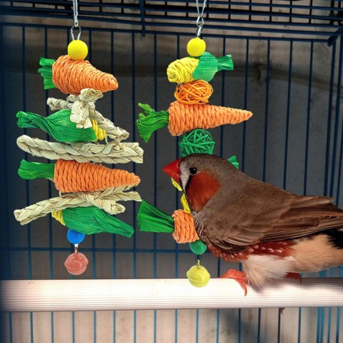Vogel spielzeug futtersuche - vogel,