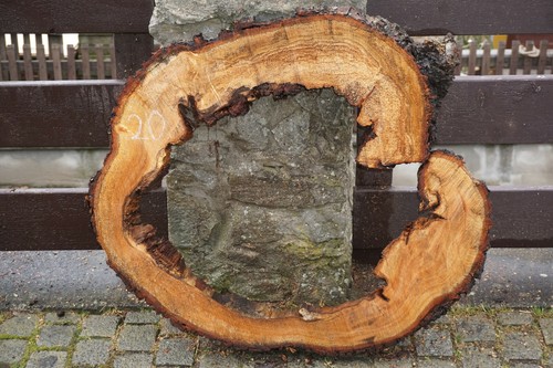 Baumscheibe holzscheibe - baumscheibe,