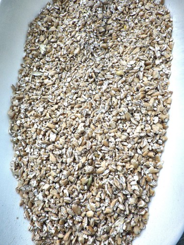 Weizen gequetscht