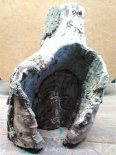 Eichenholz Holzscheit