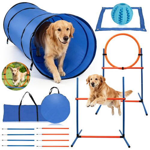Agility set für hunde - hunde,