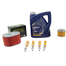 Öl 4L Wartungspaket für