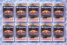 SAHAWA Artemia Frostfutter