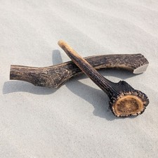 2 Stück Rothirschgeweihe