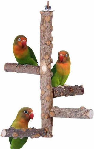 Barsch vogelständer aus - barsch-vogelständer,