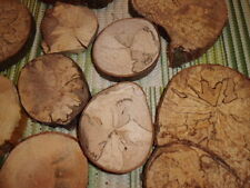 Holzscheiben,1500 g Packung