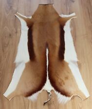 Springbockfell XL geruchsneutral echtes Tierfell Springbok Springbock Südafrika 