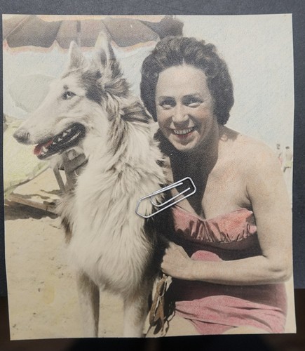 Foto portrait frau 1964 - portrait,