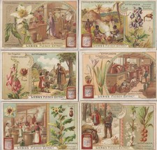 Liebig fleisch extract - liebig's, fleisch-extract