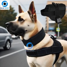 Hundegeschirr für Große