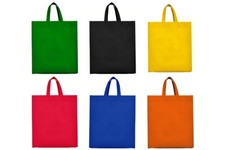 Roly Lake Bag Shopper