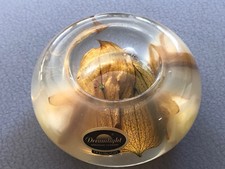 DREAMLIGHT Glas-Teelichthalter Rosen/Blätter D 11 cm