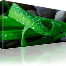 Blatt Natur Wasser Tröpfchen Bild Bilder Leinwand Wandbild Kunstdruck