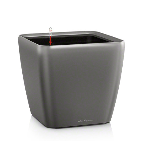 Lechuza quadro premium 21 - premium, ls