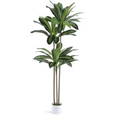 Kunstpflanze Drachenbaum 160cm