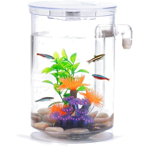 Kleines aquarium set mit - aquarium,