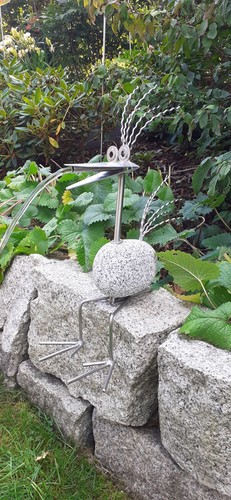 Wilder granitvogel - wilder,