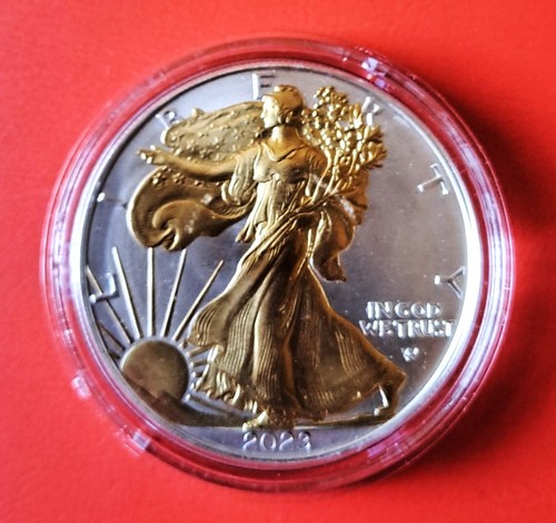 2023 usa silver eagle - 1,