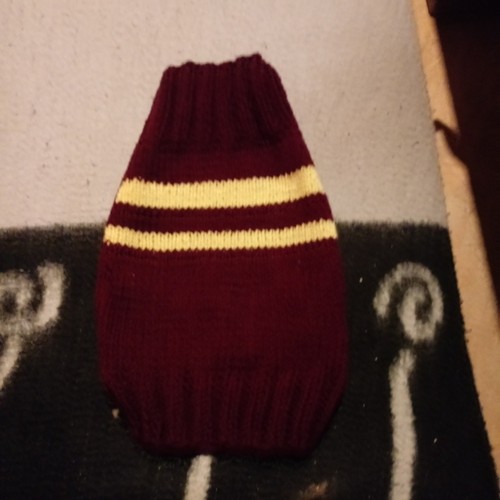 Hunde pulli - hunde,