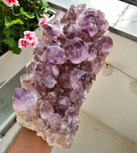 Amethyst druse kristallstufe - druse, /
