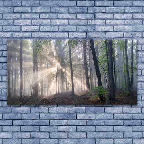 Wandbilder glasbilder druck - wandbilder,