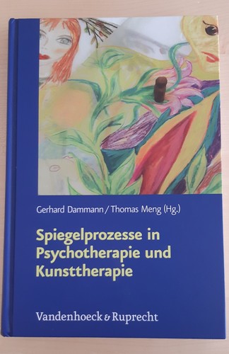 Buch spiegelprozesse - buch,