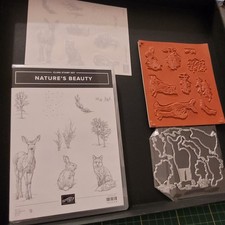 Stampin' Up! Stempelset "Nature's Beauty" + passende Framelits (markenlos), NEU!