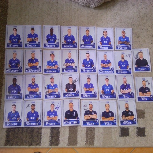 Darmstadt 98 - sv,