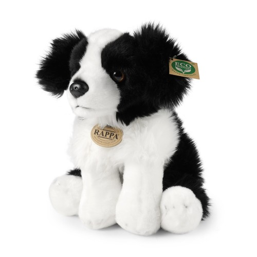 Border collie sitzend - border,