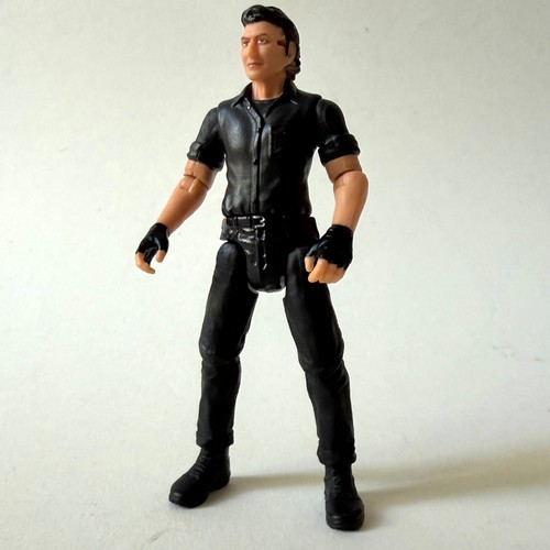 Ian malcolm glider - ian,