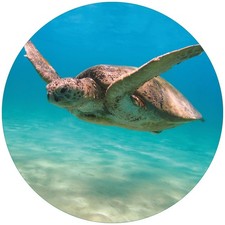 Wallario Premium Glasbild