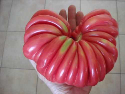 Pitanga super - 🍅,