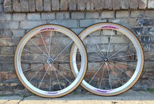 Campagnolo Vento 16-HPW