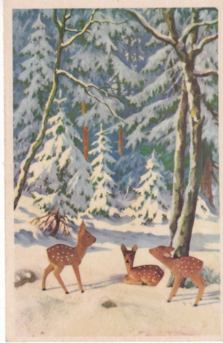 Russisch winterwald 2 - -,