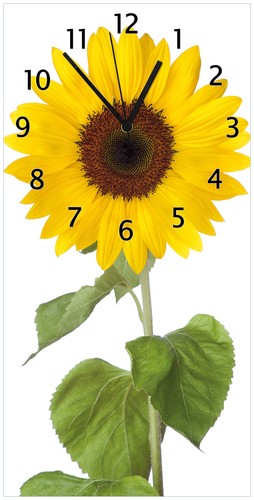 Wallario wanduhr sonnenblume - wallario,