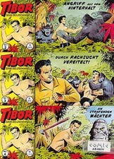 TIBOR 3. SERIE PICCOLO Auswahl