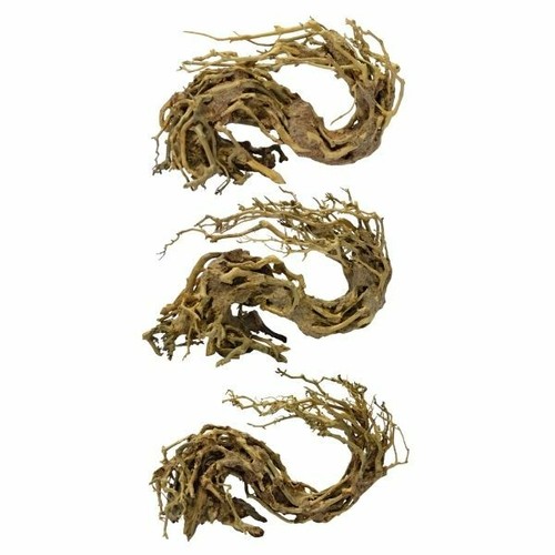 Superfish bonsai wellenbaum - superfish,