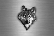 Aufkleber Auto Sticker tuning