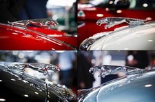 Leinwand Bild Jaguar Chrom