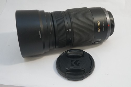 Panasonic lumix vario - g,