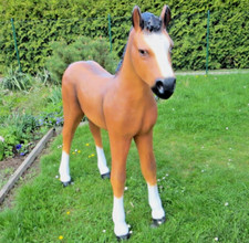 XL Premium Fohlen Pferd