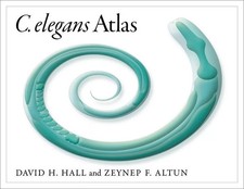 C. Elegans Atlas by David Hall