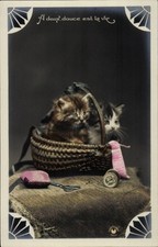 Ak Katzenbabys im Korb, Katzen - 4342479