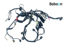 Kabelbaum (Haupt) Ducati